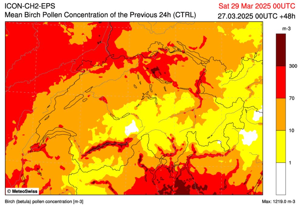 meteoschweiz's tweet photo. #Birke und Hagebuche beginnen zu blühen, aber Pollen der allergenen #Esche werden in den nächsten Tagen im Mittelpunkt stehen. #Pollenprognosen finden Sie bei aha! Allergiezentrum Schweiz https://t.co/444lN5XE2W und bei MeteoSchweiz https://t.co/usxp5m31m3 https://t.co/etrmiuX5MM