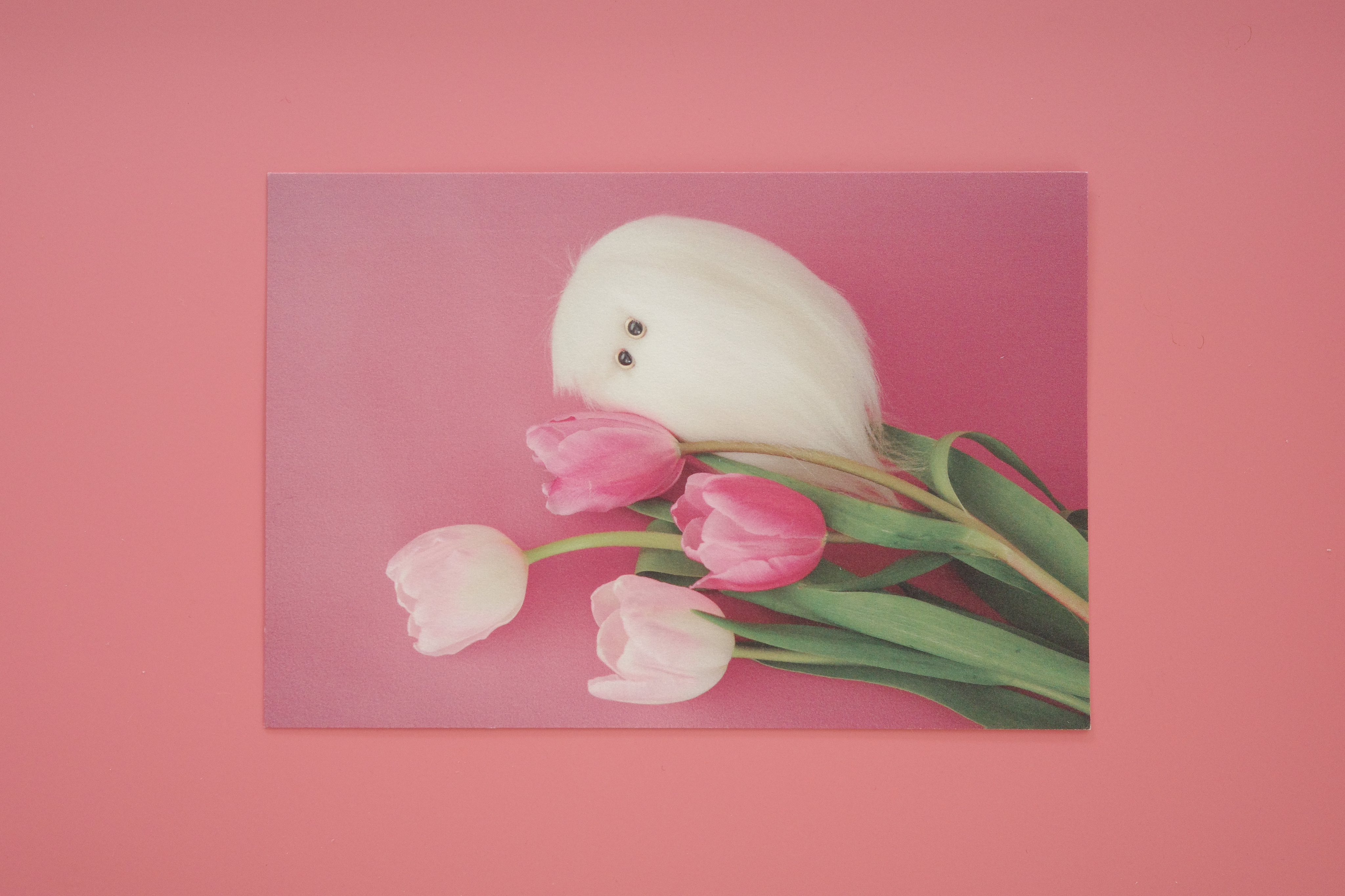 CO-SEN (@co__sen) / X