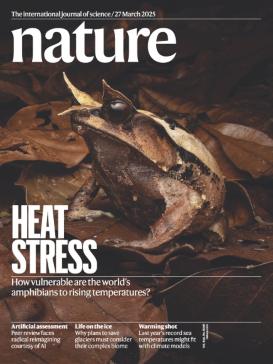 #JUscientists | Na okładce <a href="/Nature/">nature</a> nawiązanie do artykułu, który w niezwykle pesymistycznych barwach maluje przyszłość płazów, zwierząt o kluczowym znaczeniu ekologicznym. Badania prowadzone przez m.in. prof. <a href="/szymekD/">Szymek Drobniak {he/him} szymekdr.bsky.social</a> z Instytutu Nauk o Środowisku UJ.