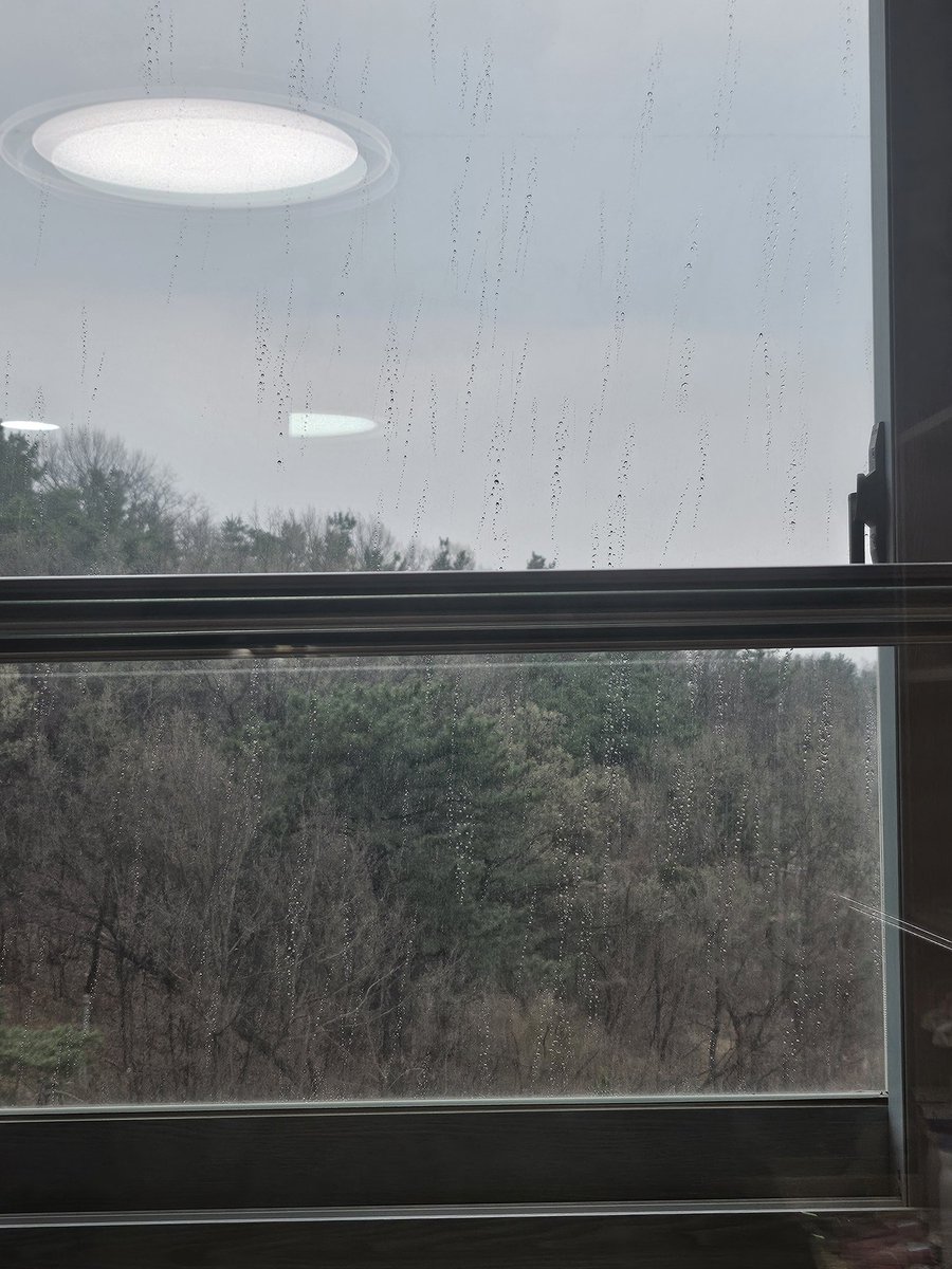 얘드라 경북에 드디어 비 내린다ㅠㅠ