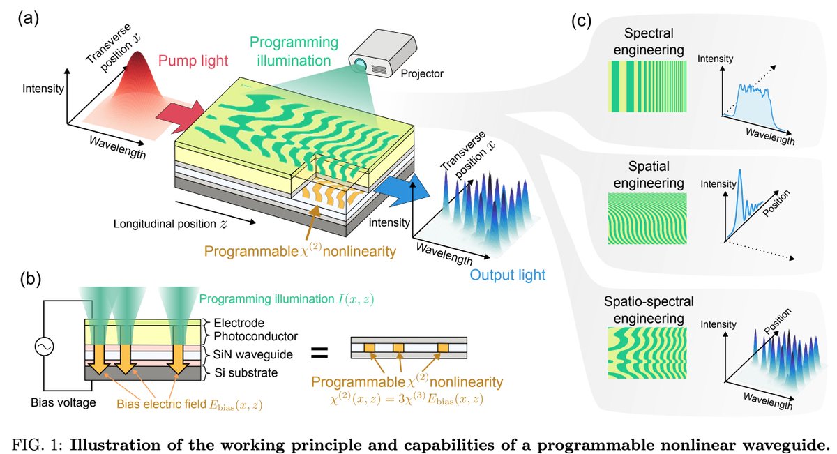 jwt0625's tweet image. Programmable optical nonlinearity on a chip? Sounds too good.
It is using a patterned illumination onto a photoconductor layer to &quot;turn on and off&quot; a bias field, which lowers chi3 nonlinearity to chi2. They could shape it in both spatial and spectral domain.
The catch? The…