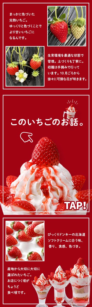 今日は期間限定のいちごデザートの「いちご」について、ちょっと語って