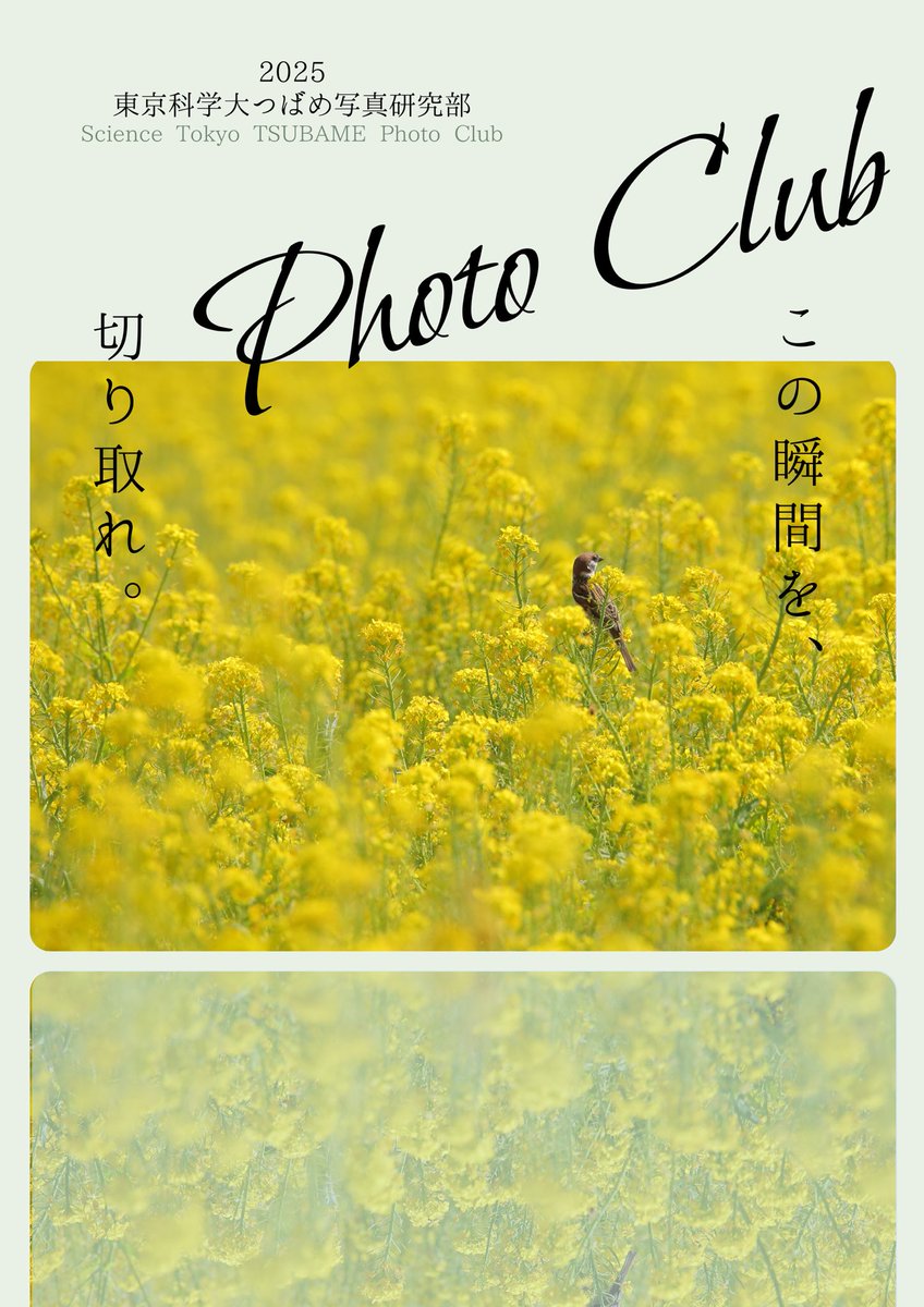 東京科学大学つばめ写真研究部 新歓2026 tweet media
