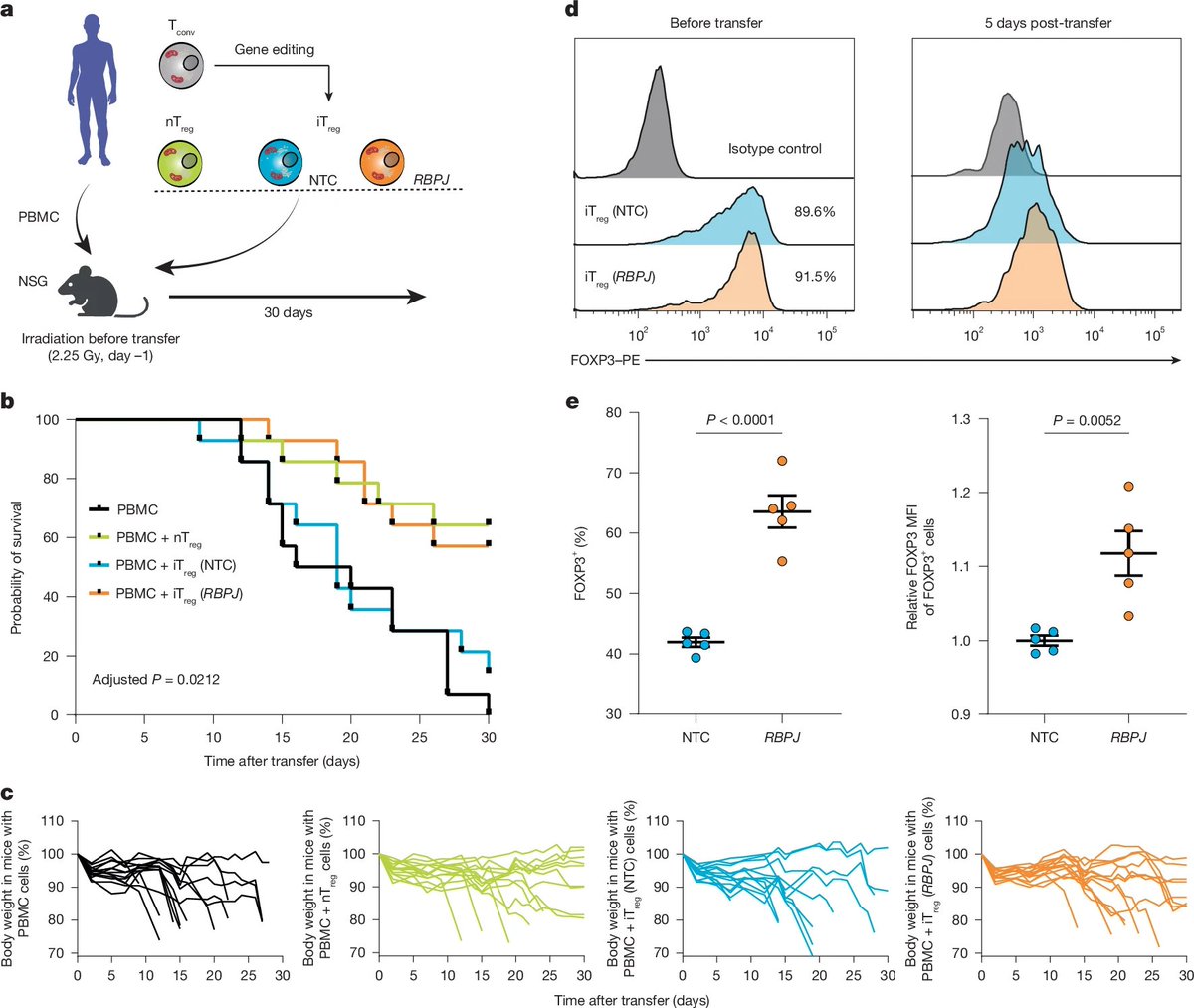 Waggoner Lab (@labwaggoner) on Twitter photo Genome-wide CRISPR screen in human T cells reveals regulators of FOXP3 <a href="/Nature/">nature</a> 
nature.com/articles/s4158… Genome-wide CRISPR screen in human T cells reveals regulators of FOXP3 <a href="/Nature/">nature</a> 
nature.com/articles/s4158…