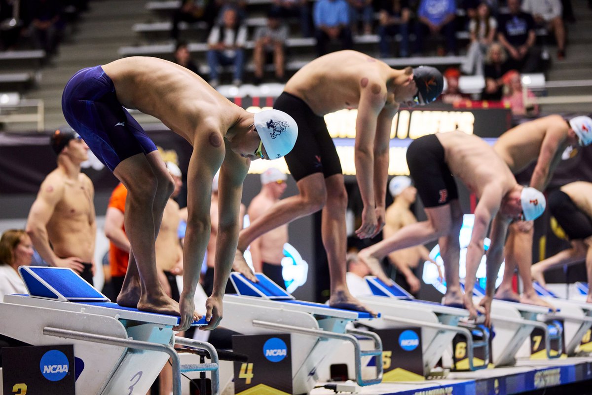 Night one in the books✅

The 800 free relay quartet of Jake Wang, Noah Millard, Charlie Egeland, and Deniel Nankov finished 23rd with a time of 6:15.36.

Back at it tomorrow!

#ThisIsYale