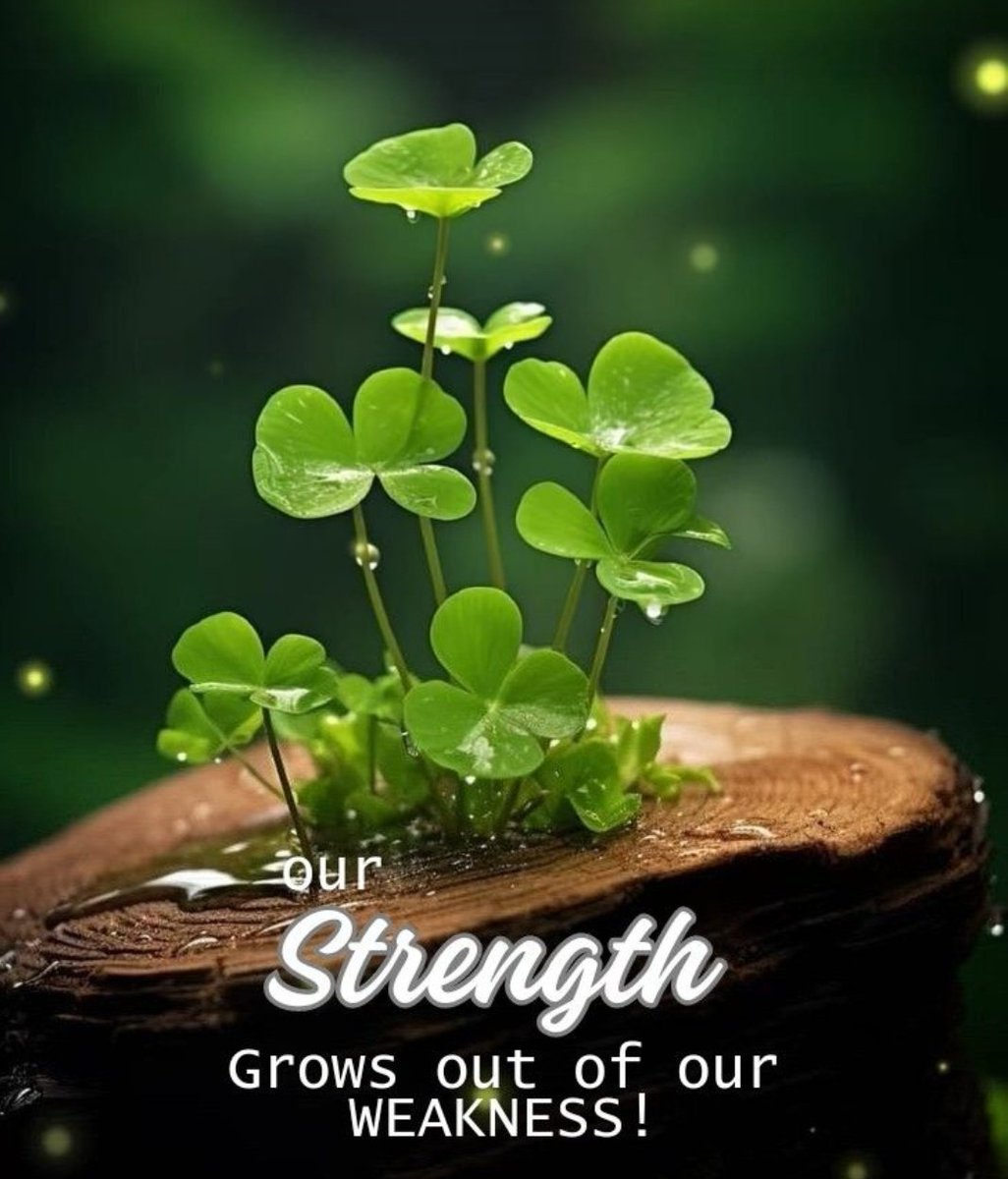 komal_bindass's tweet photo. Be your💫 own support system🙂 clap for yourself 👏Be there for yourself 🌺Do it for yourself🦋
#AwakenedMind😇
#ConfidenceWithIn🌺
#InnerStrength🐬 https://t.co/kH8NkgE4eZ