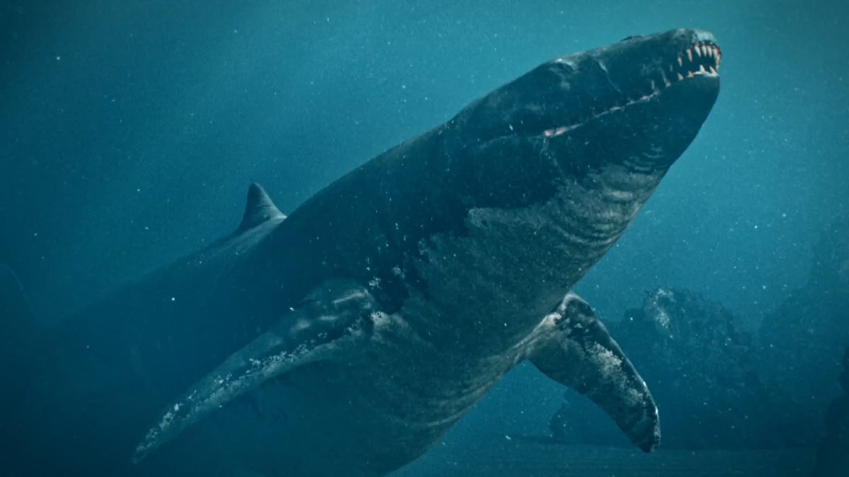raftingzalmoxes's tweet photo. #MonstersOfTheDeep
The mosasaur with dorsal fin is confirmed to be THALASSOTITAN. https://t.co/D6Cyyau6Qk