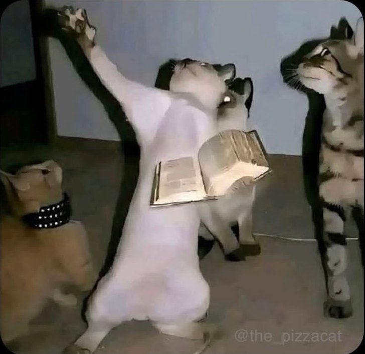 STSsoham tweet media