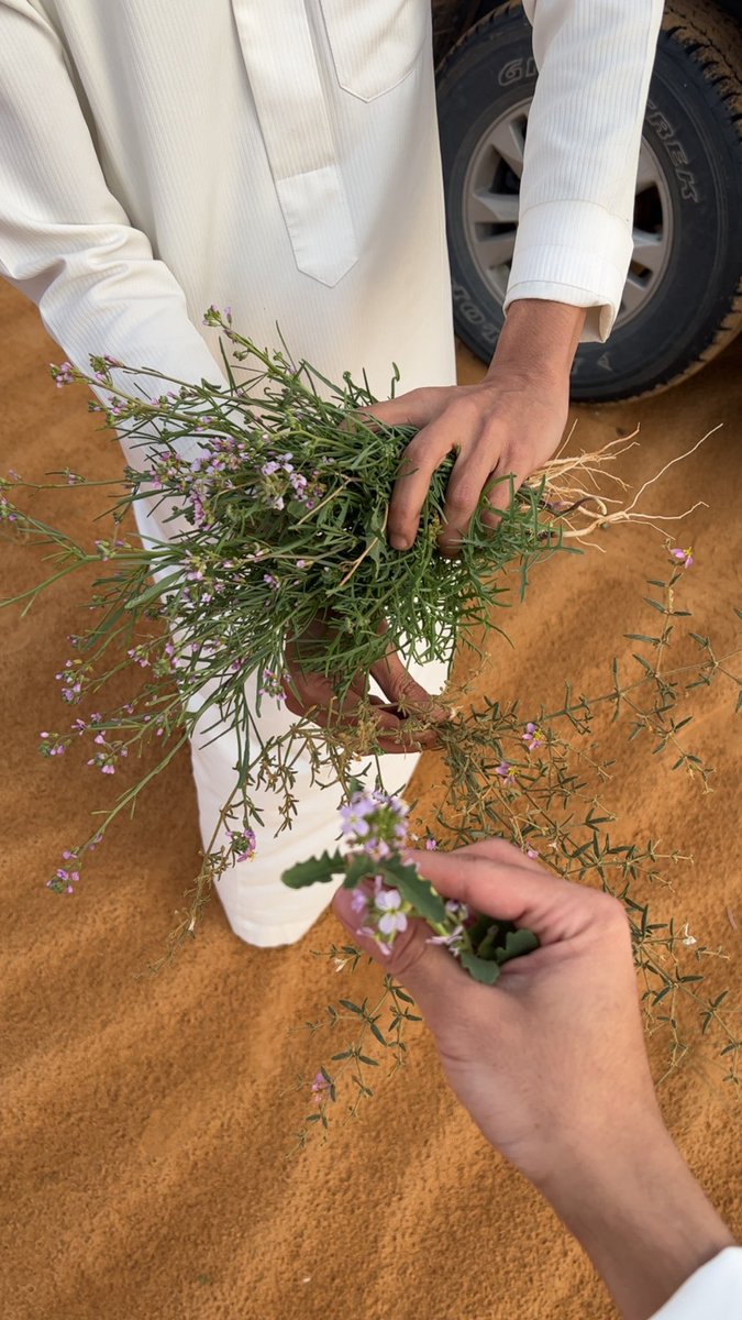 بندر (@iiib2o) on Twitter photo 