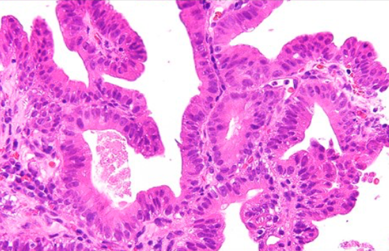 Gunt A.B tweet media