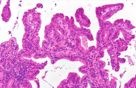 Gunt A.B tweet media