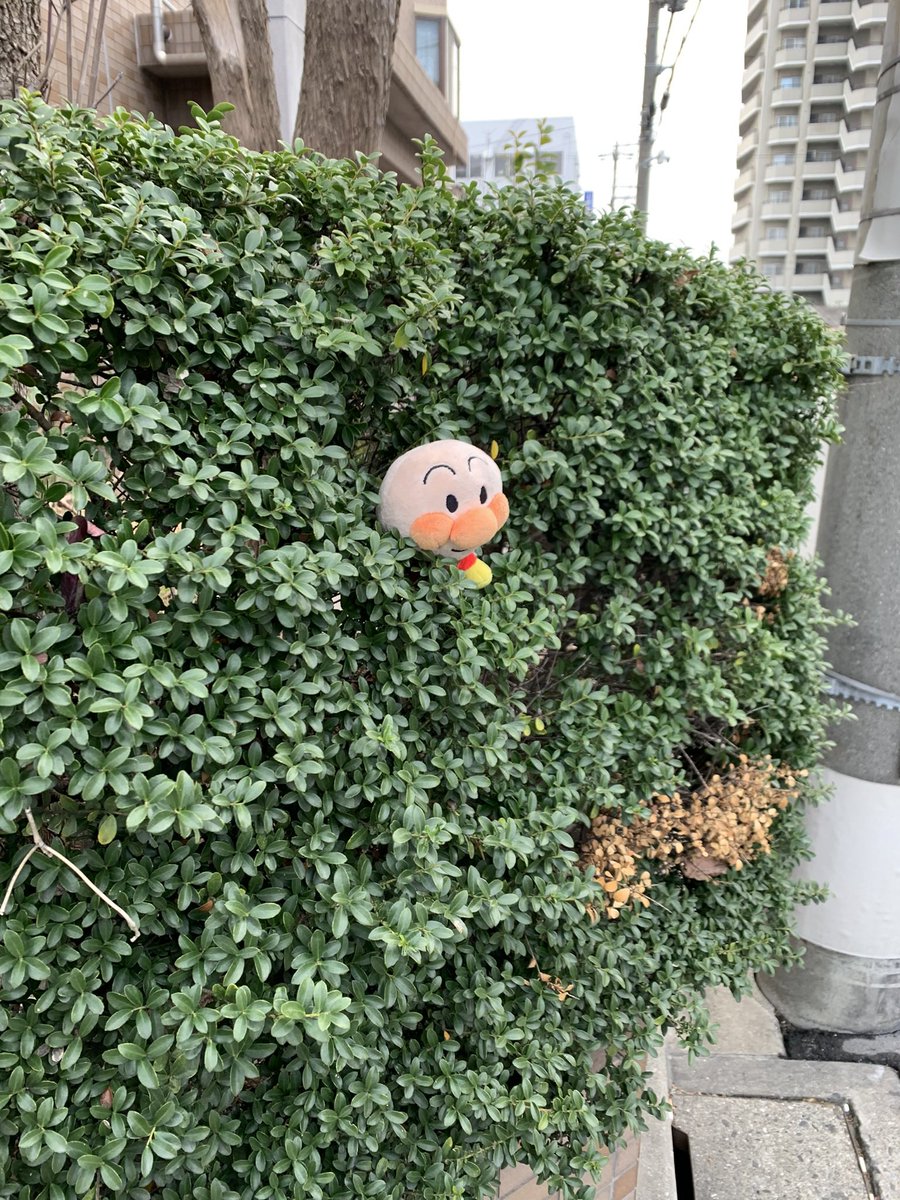 え…
初黒星か？