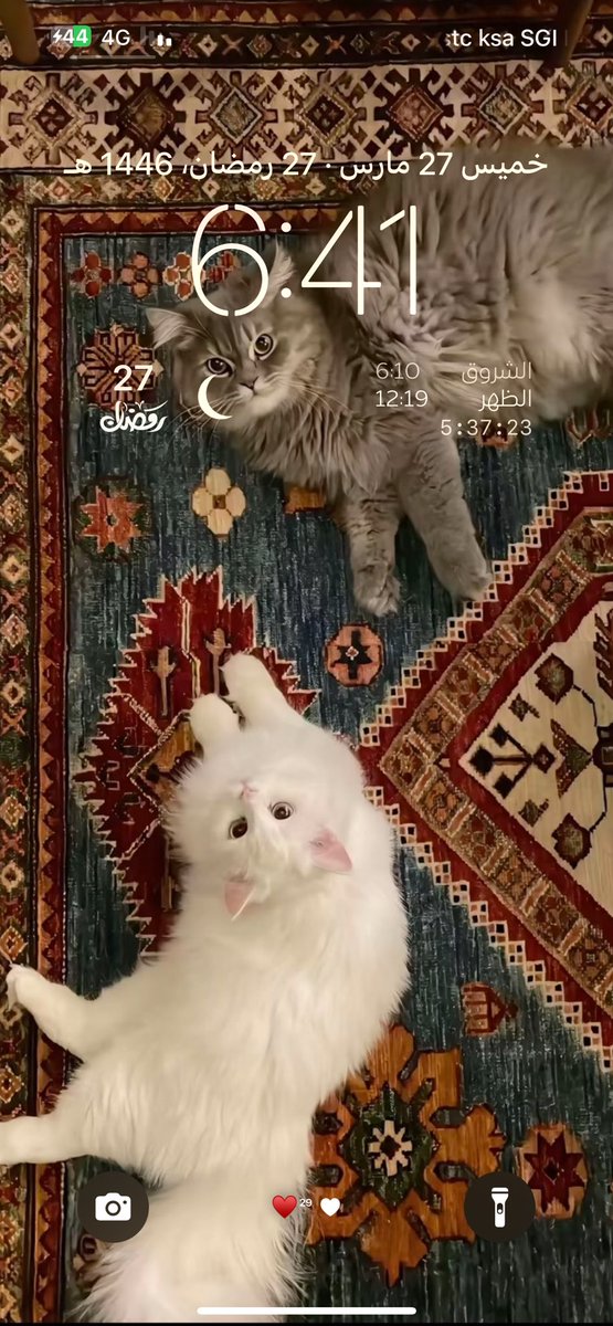 اي وحده افضل؟