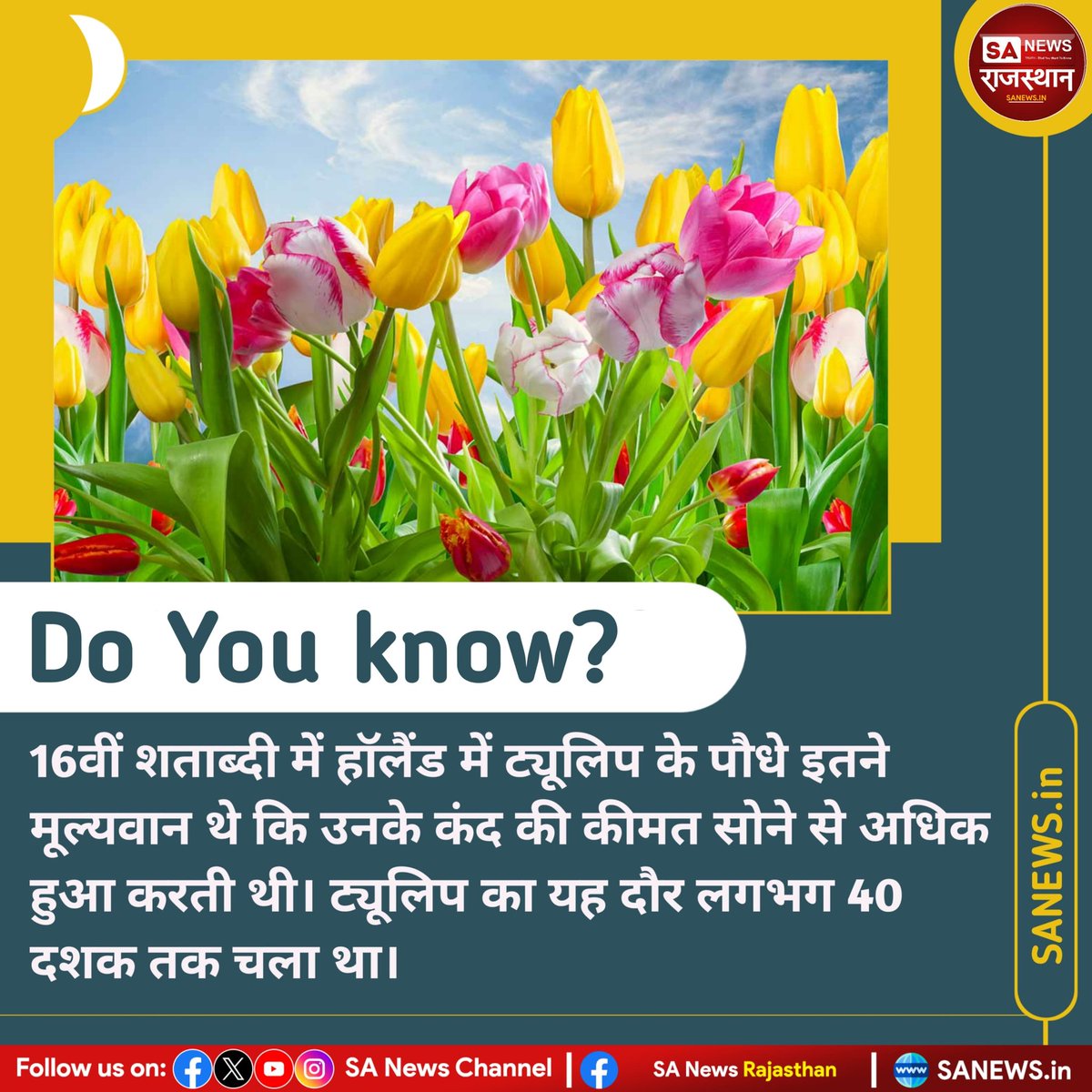 SANewsRajasthan's tweet photo. 16वीं शता��्दी में हॉलैंड में ट्यूलिप के पौधे इतने मूल्यवान थे कि उनके कंद की कीमत सोने से अधिक हुआ करती थी। ट्यूलिप का यह दौर लगभग 40 दशक ��क चला था।
#fact #factoftheday #factdeliy #SANEWS #SANewsRajasthan #flowers #zelena #helevier https://t.co/fzp8is8Pbn