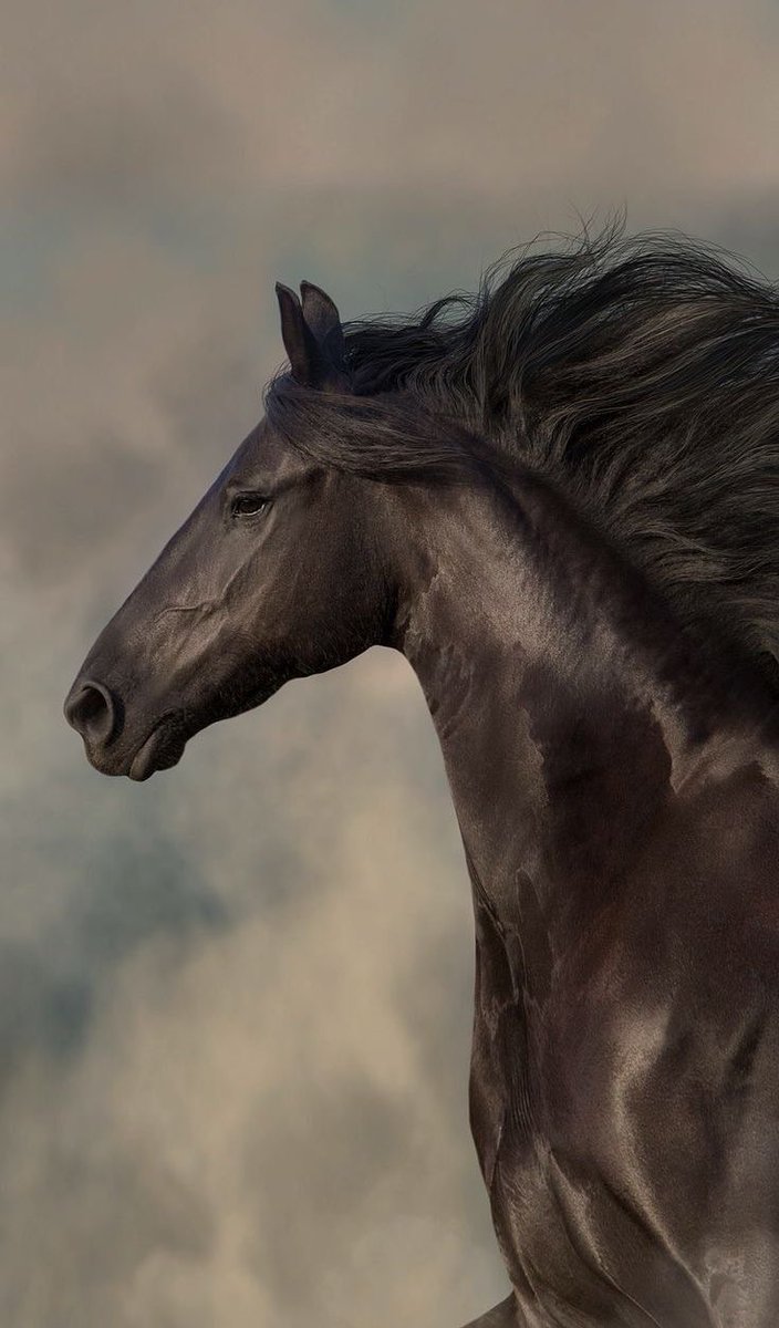 بحر 🌊 (@butterflless) on Twitter photo 