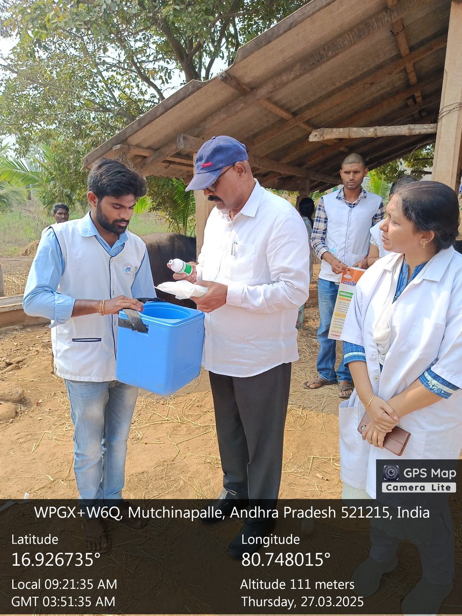 dahontr33217's tweet photo. #fmdcp
#nadcp
#animalhealth
27-3-2025;
FMDCP &amp; BCP Vaccination monitoring at Maddulaparva Village of Reddigudem mandal. https://t.co/zHWrJVaNe3