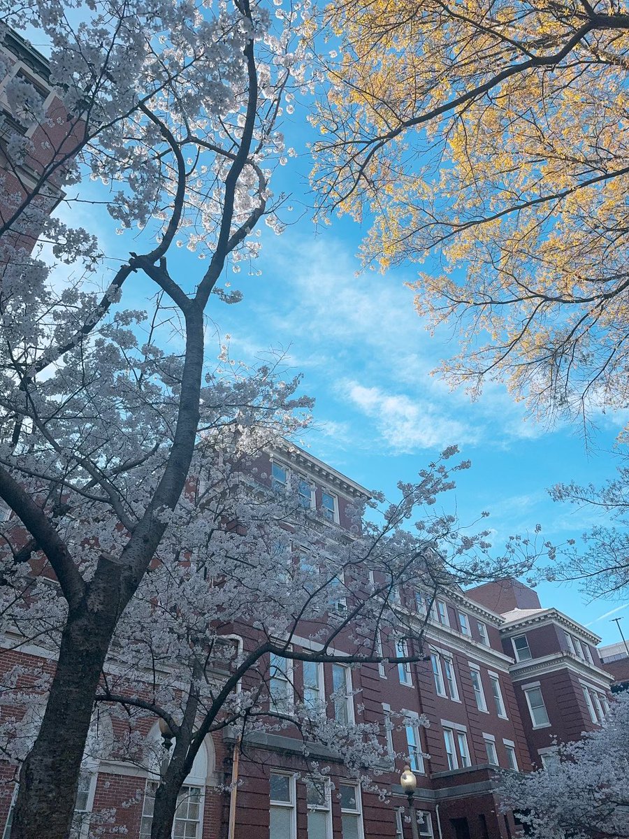 Last week of this wonderful elective at #UAB and I am already missing it!