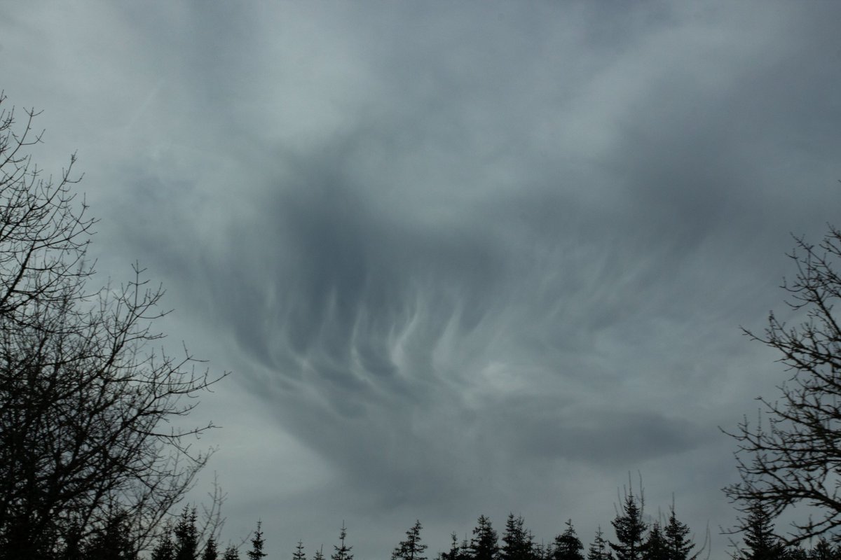 mr_mitosis's tweet photo. PNW chase today may have been a bust, but hey, its a learning experience.
Thanks for coming out with me @KayofAllTrades https://t.co/ZYfxdVfom5