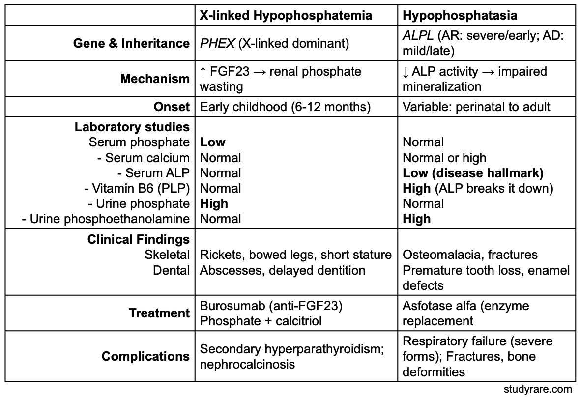 StudyRare 🧬 tweet media