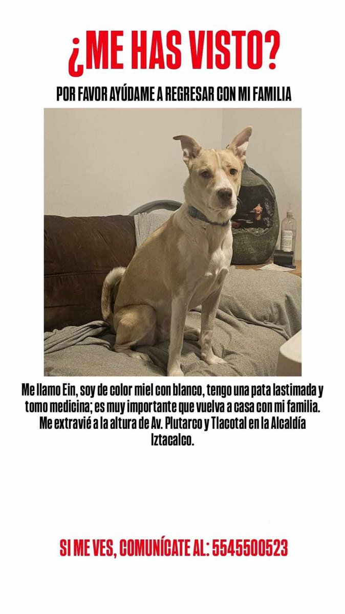 Iztacalco Noticias tweet media