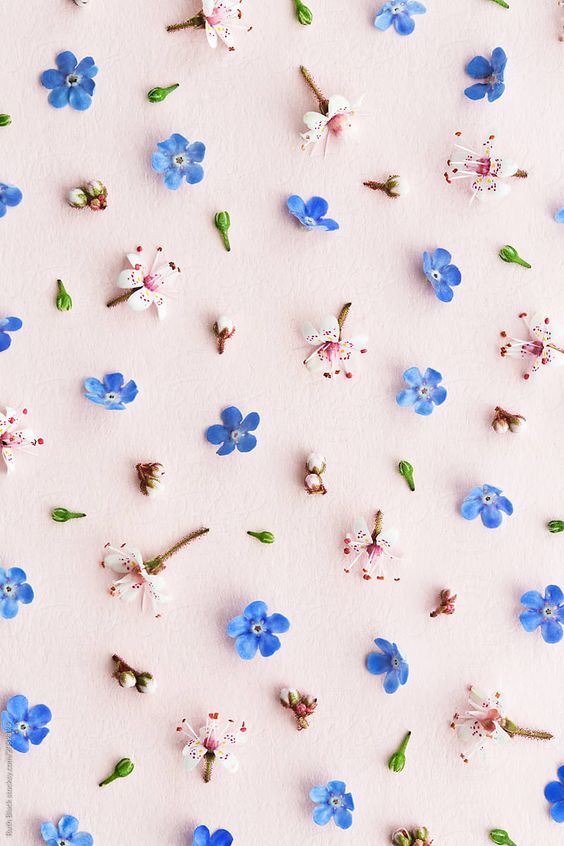 어느야경 (@yakyung379) on Twitter photo 