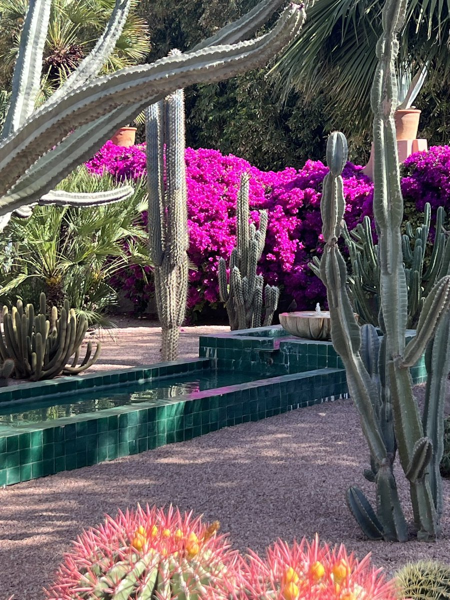 James Scott FSGLD tweet media