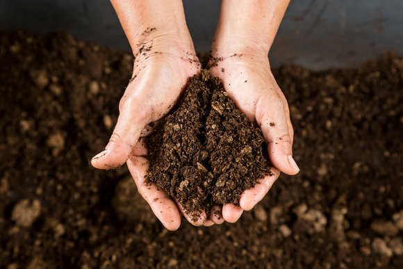 Gratis compost voor inwoners Midden-Drenthe
17 maart - Op zaterdag 29 maart kunnen inwoners van de gemeente Midden-Drenthe tussen 8.00 en 12.00 uur gratis compost ophalen bij Attero in Wijster (VAMweg 7).
Meer info: duurzaamwesterbork.nl