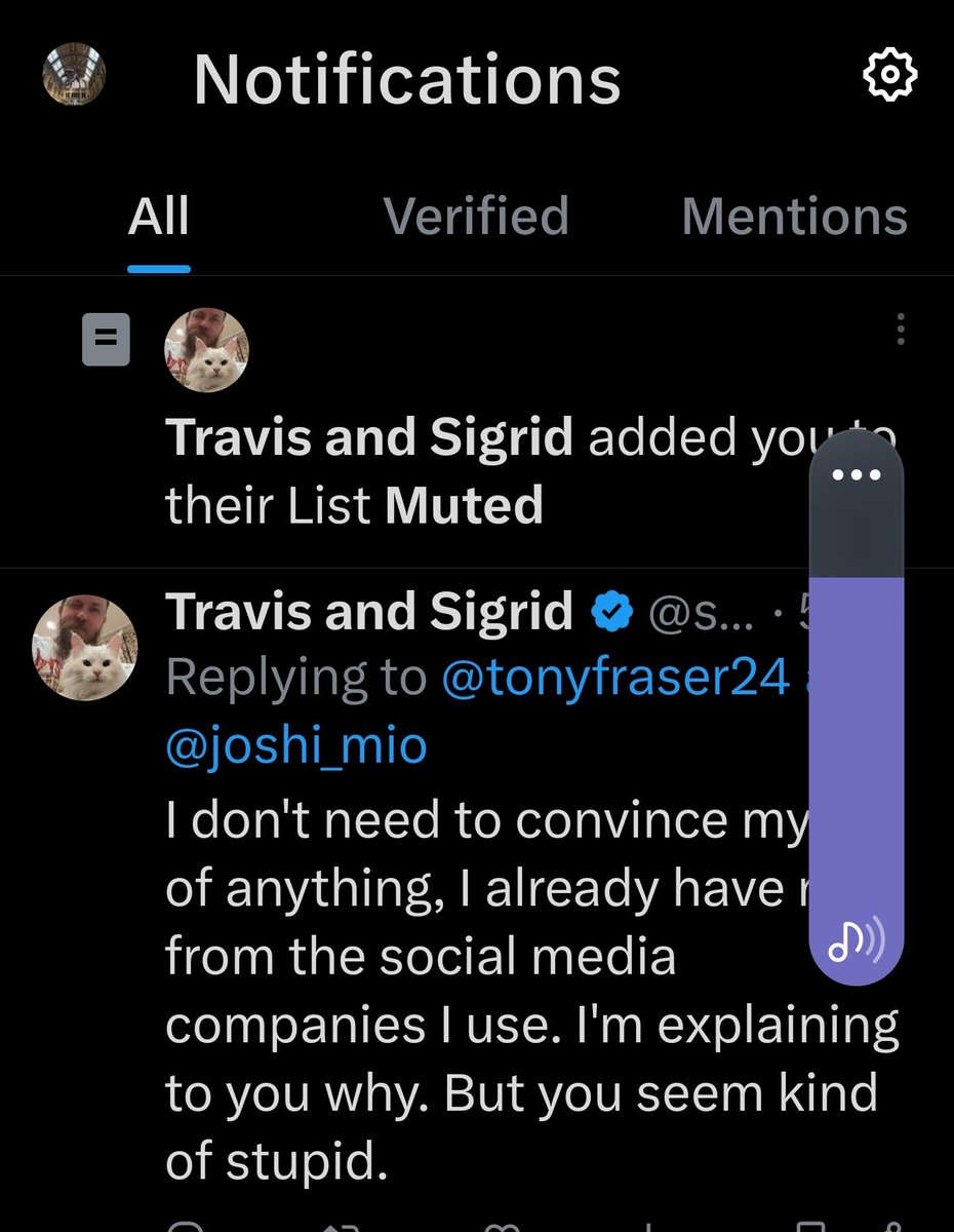 Finally, I got that and a cat to mute me