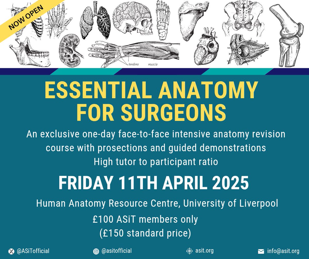 🚨 ASiT Essential Anatomy for Surgeons 

🗓️ 11th April 2025
📍 University of Liverpool

Looking for a high-yield anatomy refresh or gearing up for MRCS? Join us for a full day of #prosections at the Human Anatomy Resource Centre!

✅ Expert facilitators
✅ Head-to-toe coverage
✅