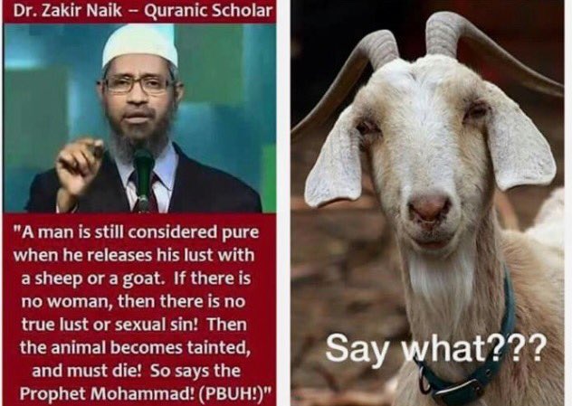 Sally Forthe (@sallyforthe) on Twitter photo <a href="/albazz777/">Albazz الباز</a> <a href="/RadioGenoa/">RadioGenoa</a> Do you think HMTK has knowledge of what the Quran says about bestiality? What's going to happen to Brittan's farm animals when Muslims run out of children to molest? <a href="/albazz777/">Albazz الباز</a> <a href="/RadioGenoa/">RadioGenoa</a> Do you think HMTK has knowledge of what the Quran says about bestiality? What's going to happen to Brittan's farm animals when Muslims run out of children to molest?