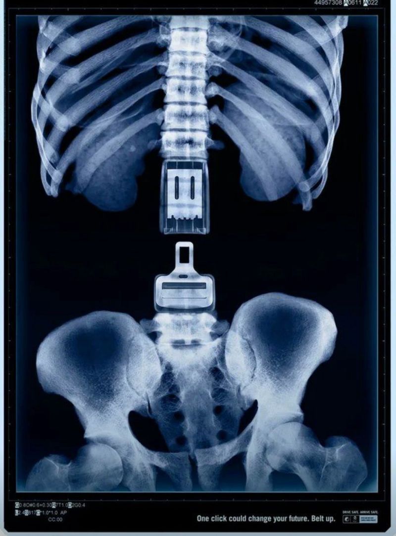 Geniezweb's tweet photo. Protect your back, click that belt!🎗️🚘
#DriveSafe https://t.co/nfqAkmE1hB