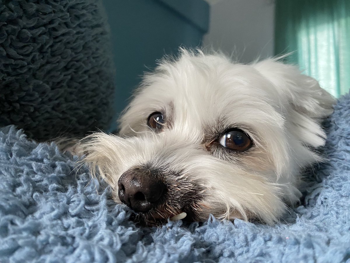 Günaydın hihi 08:08