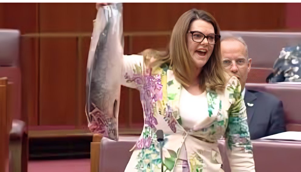 emma_amy3's tweet photo. In a bizarre moment, an Australian senator wielded a dead salmon during a parliamentary session to make a point. The unusual protest definitely made waves���what do you think? 🤔🎤

#Australia #Politics #Salmon #Parliament #UnusualProtests https://t.co/L7WGQAYpP1