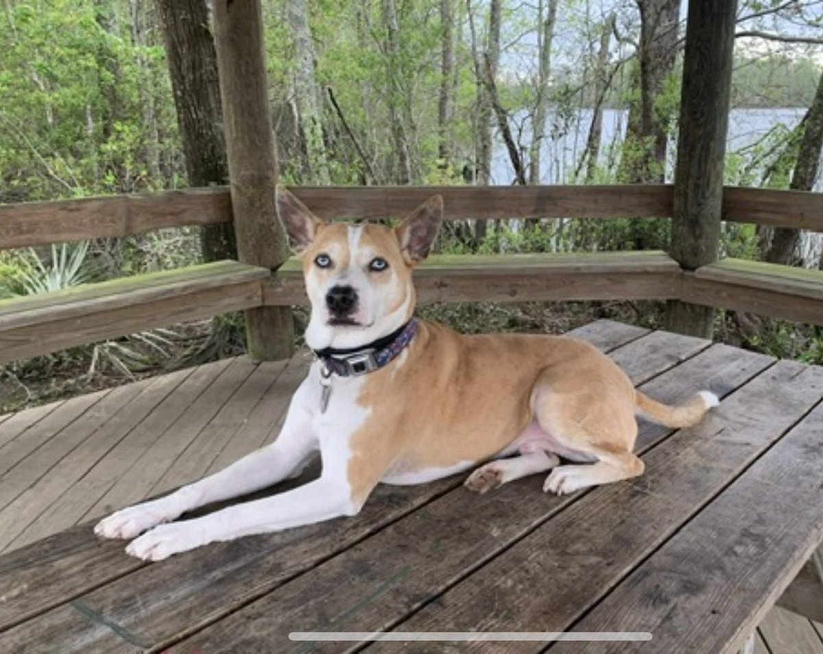 Ginjie *Kindness Coach* tweet media