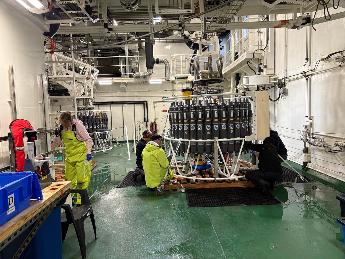 Kaihe Yamazaki 🌊❄️ tweet media