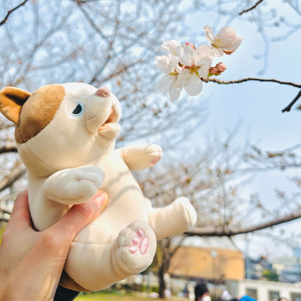 甘噛みハムハム collaboration with #FR2 Rabbit 甘噛みハムハム collaboration with #FR2 Rabbit