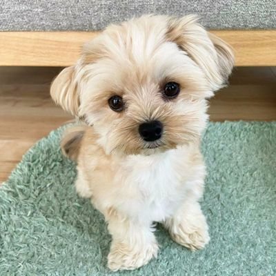 I can't thank you enough for all you've shared with me. Thank you. Kudos to the author for writing such a comprehensive and well-structured article. Rosetta Schoenfelder