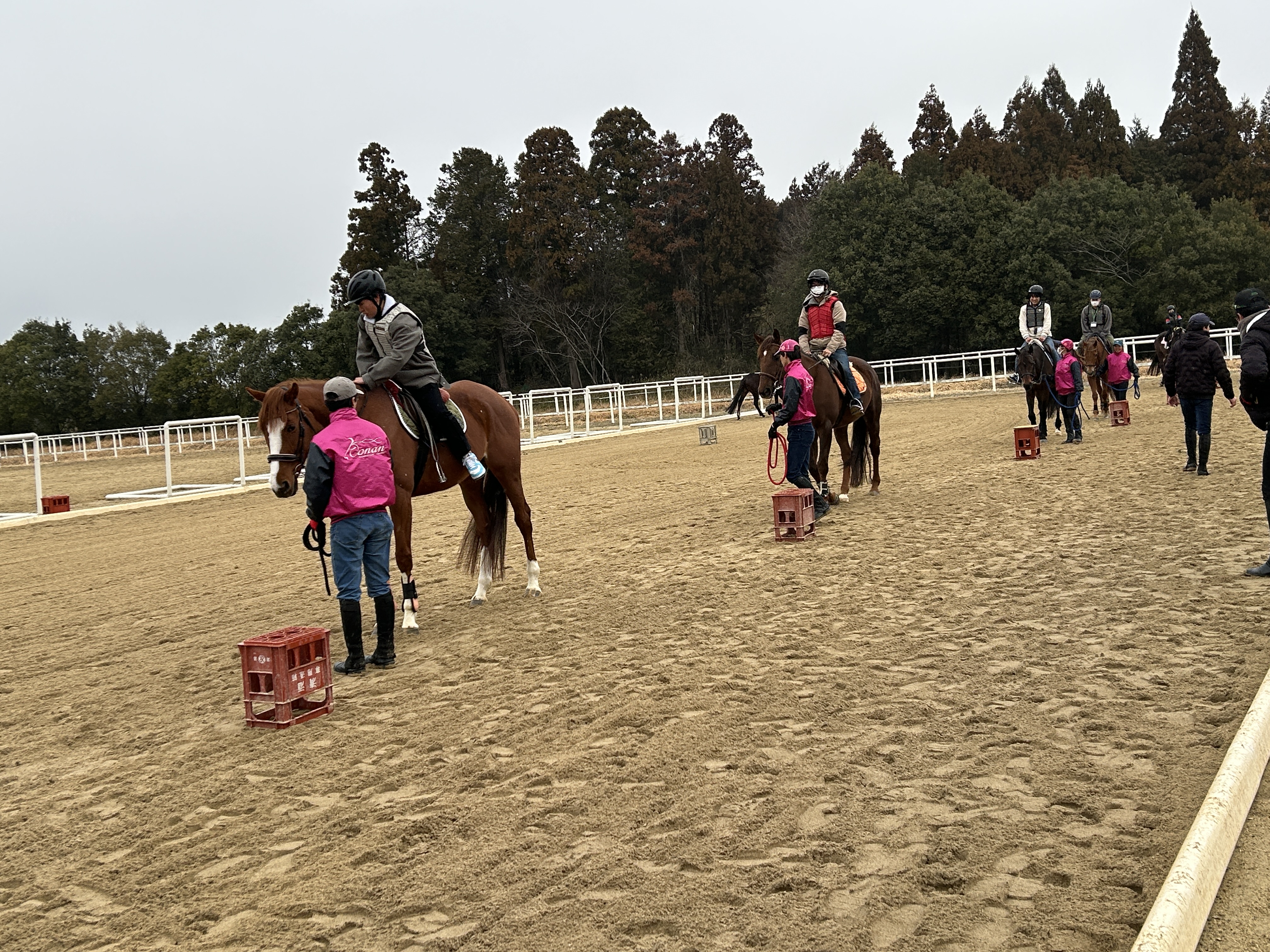 JRA札幌競馬場【公式】 (@JRASapporoRC) / X