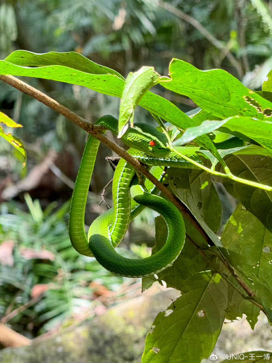 youngmo131's tweet image. ใจบันดาลแรง แรงบันดาลใจ