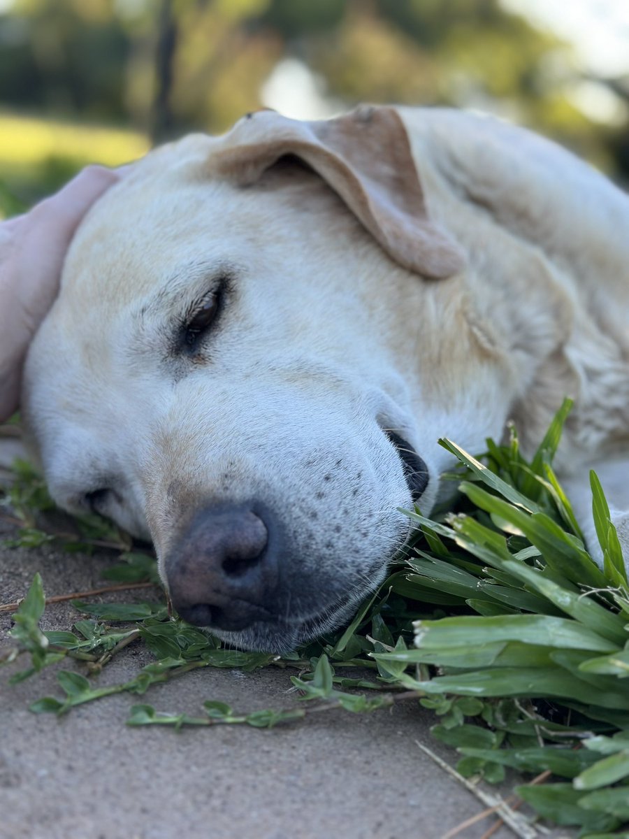 feliz viaje amigo! te voy a extrañar. 🥹🕊️