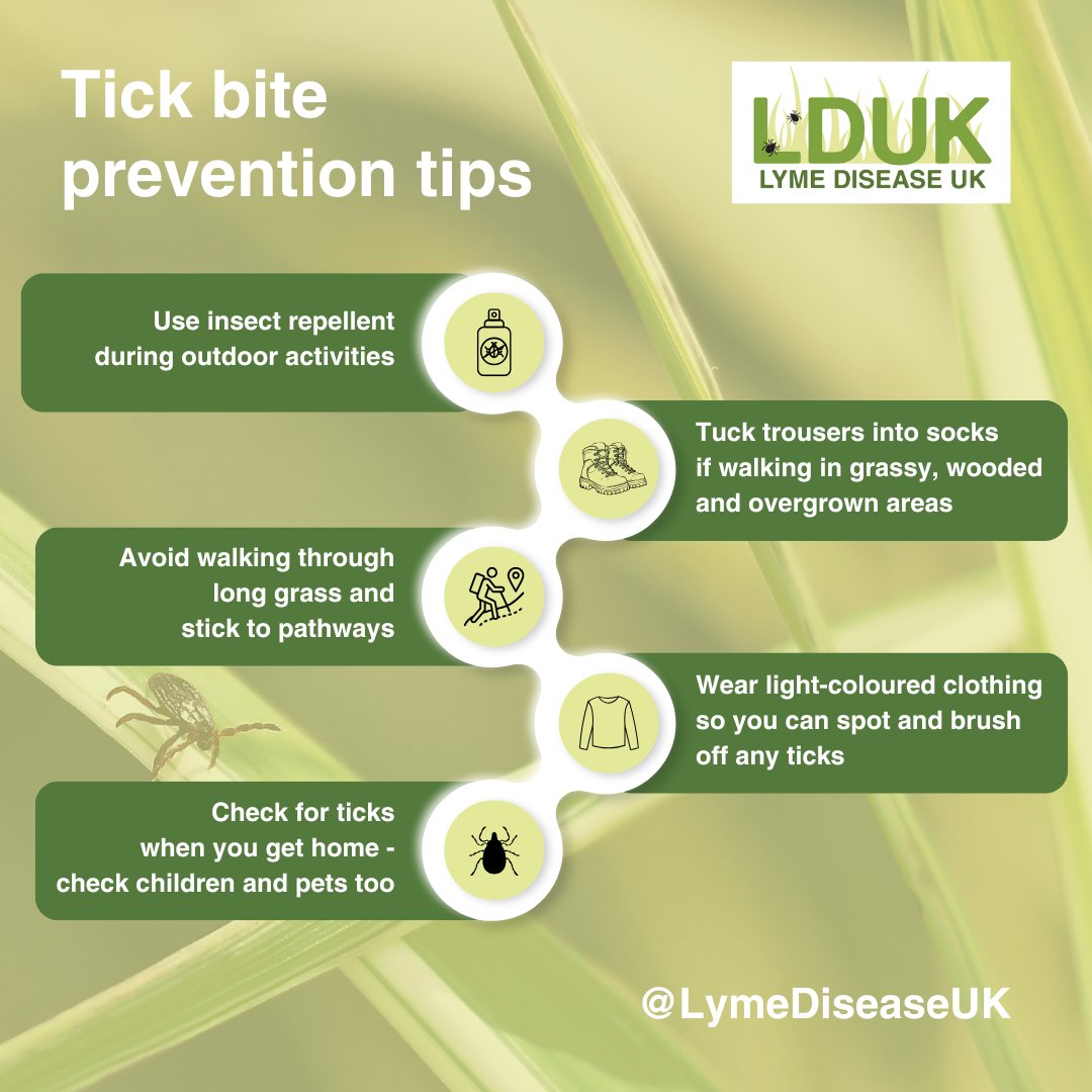 🌿 It’s Tick Bite Prevention Week! 🌿
Ticks may be small, but the dangers they carry are huge — for both pets and humans. 🐾🚶‍♂️
💡 Prevention is the best protection — stay vigilant, check your pets (and yourself) after walks, and talk to your vet about tick prevention products.
