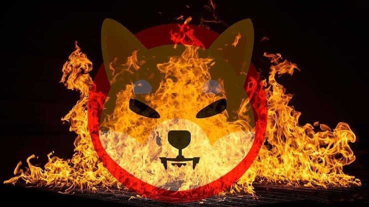 Retweet If you want Massive burn from $SHIB this week.👺