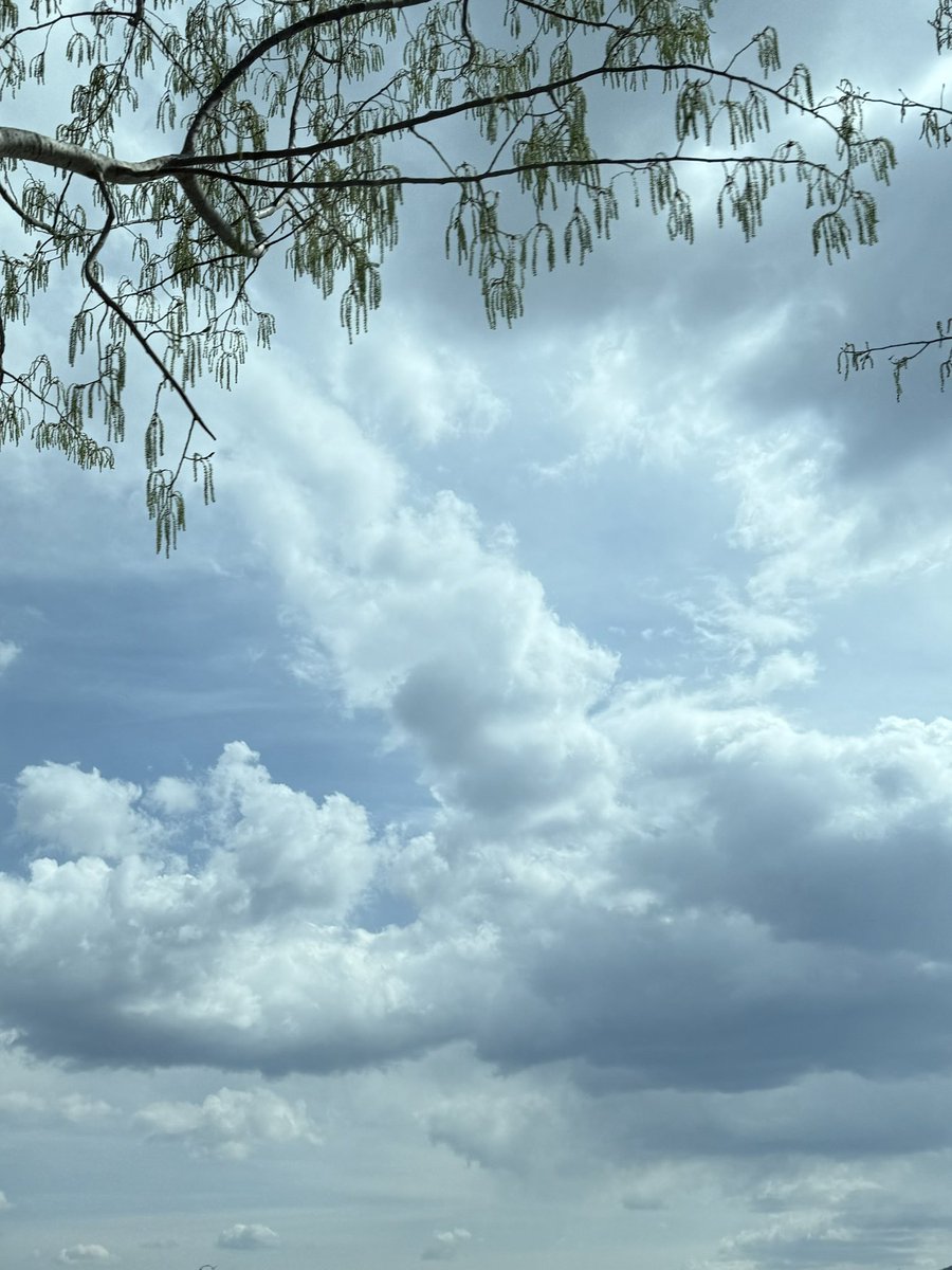 阴天也是好天气☁️