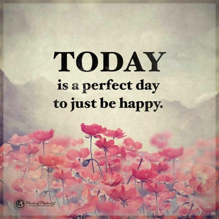POSITIVITY (@positivitysaid) on Twitter photo 