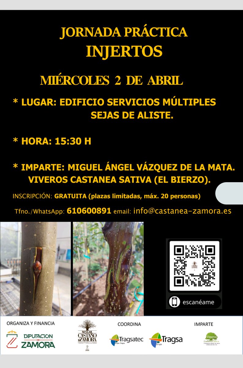 VCastaneaSativa's tweet photo. El próximo día 2 de Abril del 2025, estaremos en la localidad de Sejas de Aliste ( Zamora), impartiendo una jornada de injerto practico sobre castaño. Os esperamos https://t.co/uxJDhtfhP3