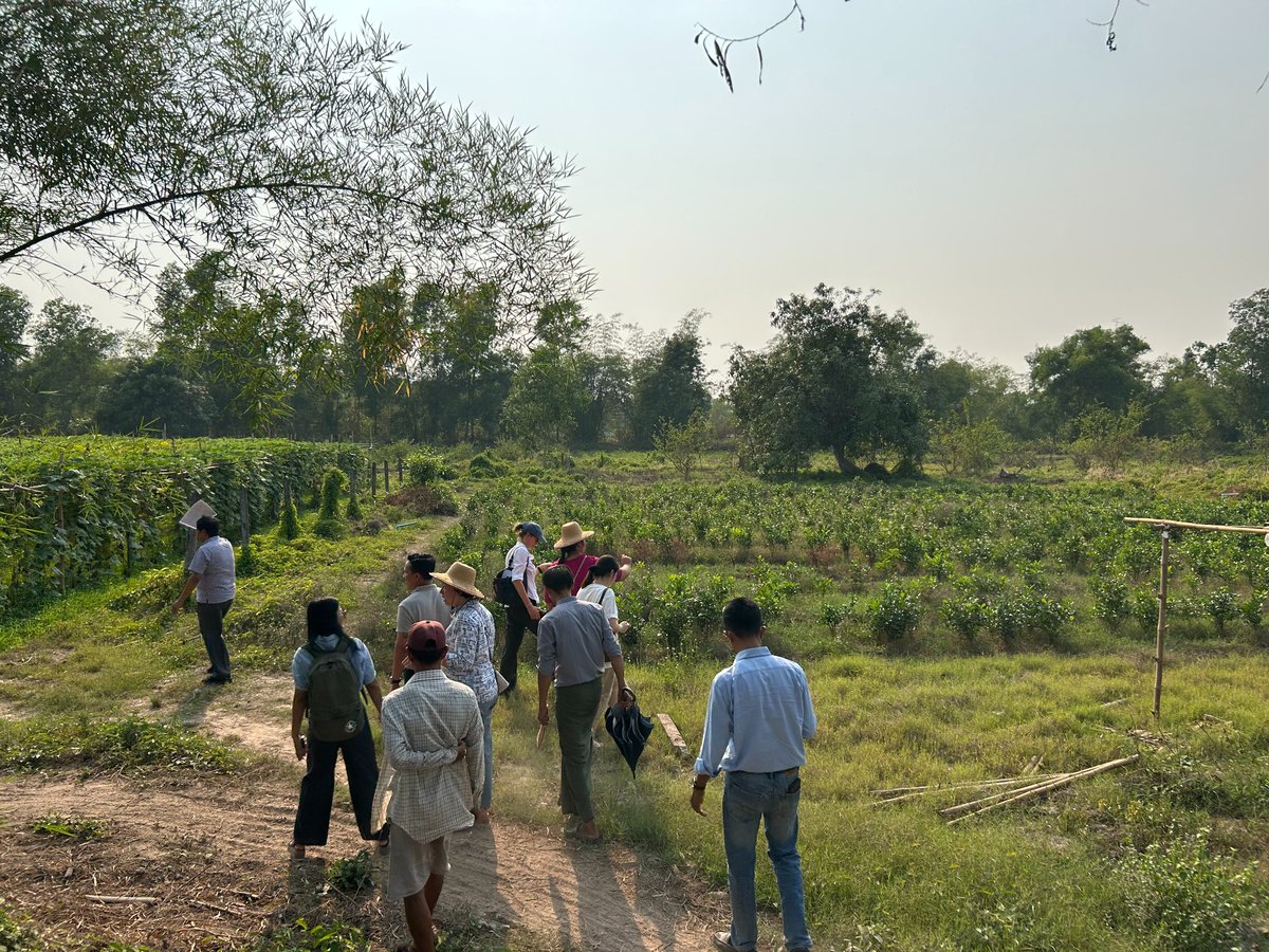 Visited an organic farm, which received small #RBF grant facilitating investment in solar pump for irrigation. Despite hardships, this farm is a force for change, generating income for hundreds of farmers through input purchases and essential training.
#SustainableFarming
