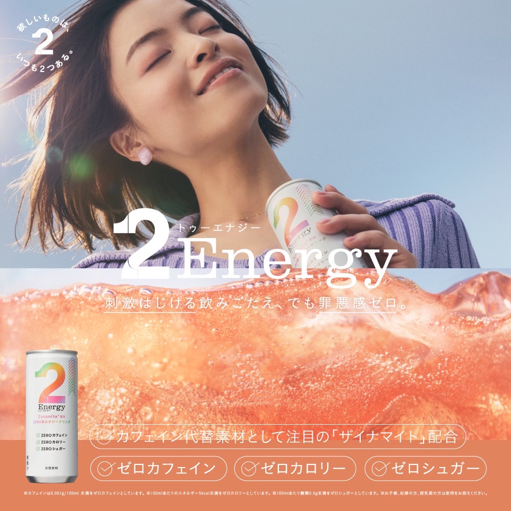 エリナ ファットファイヤー 2個 脂肪 Lカルニチン 賞味期限2026年4月以降 エリナ ファットファイヤー 2個 脂肪 Lカルニチン 賞味期限2026年4月