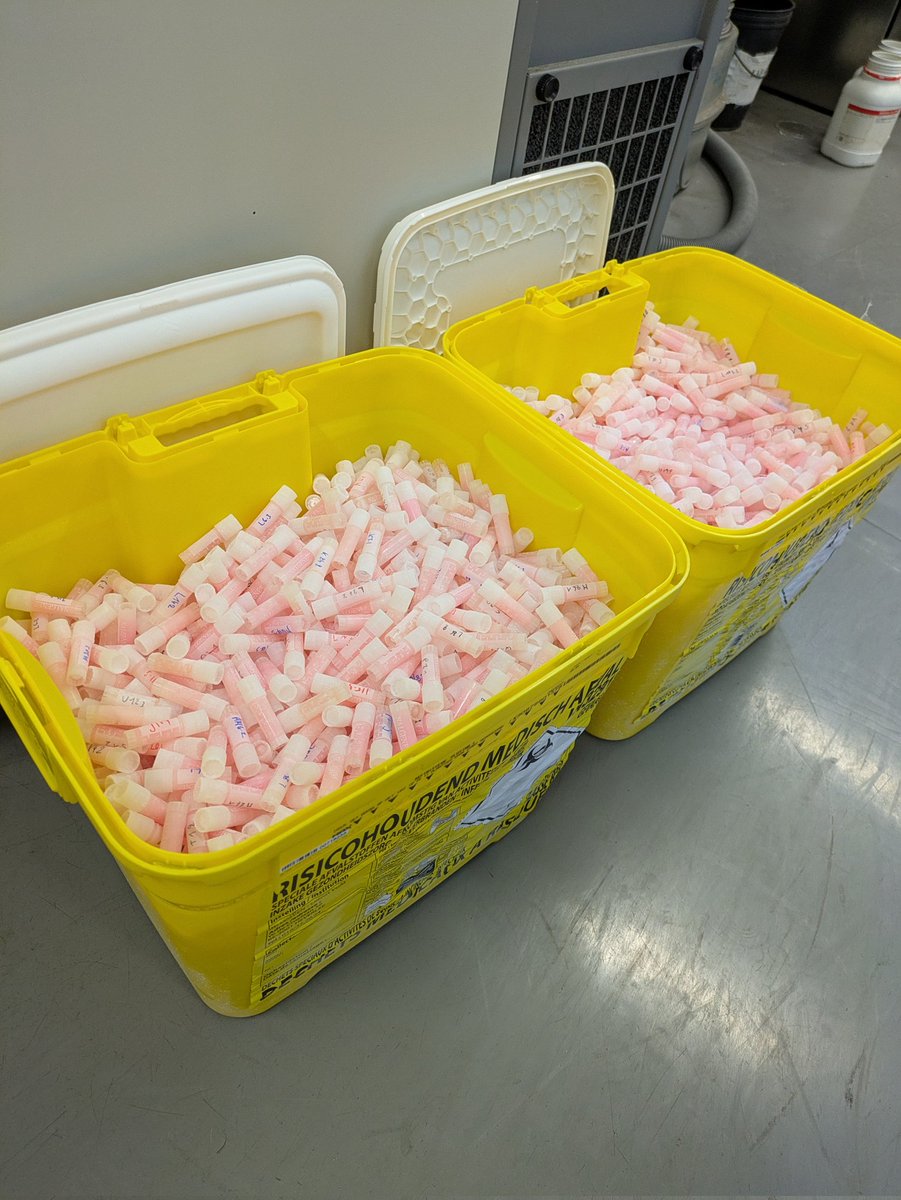 CarolusHans's tweet photo. Cleaning out my -80°C shelves... Am I a microbiology hoarder? #ExperimentalEvolution @vandijcklab https://t.co/FW0wNIovMZ