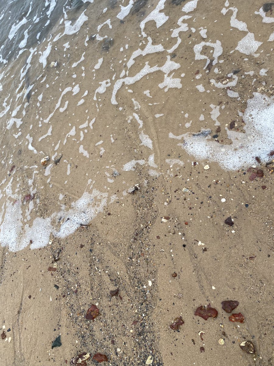 Matthew Green (@matthew_green98) on Twitter photo My poem Sea Glass is featured in the latest issue of The Lunar Journal (<a href="/lunarjournal/">the lunar journal π ISSUE 5 OUT NOW</a>) πππ link below π
thelunarjournal.org/issue-5--mosaiβ¦ My poem Sea Glass is featured in the latest issue of The Lunar Journal (<a href="/lunarjournal/">the lunar journal π ISSUE 5 OUT NOW</a>) πππ link below π
thelunarjournal.org/issue-5--mosaiβ¦