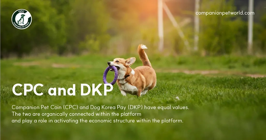 Companion Pet Coin (#CPC) and Dog Korea Pay (#DKP) have equal values. The two are organically connected within the platform and play a role in activating the economic structure within the platform.

#CPC #DPK #Petconomy #CryptoforPets
